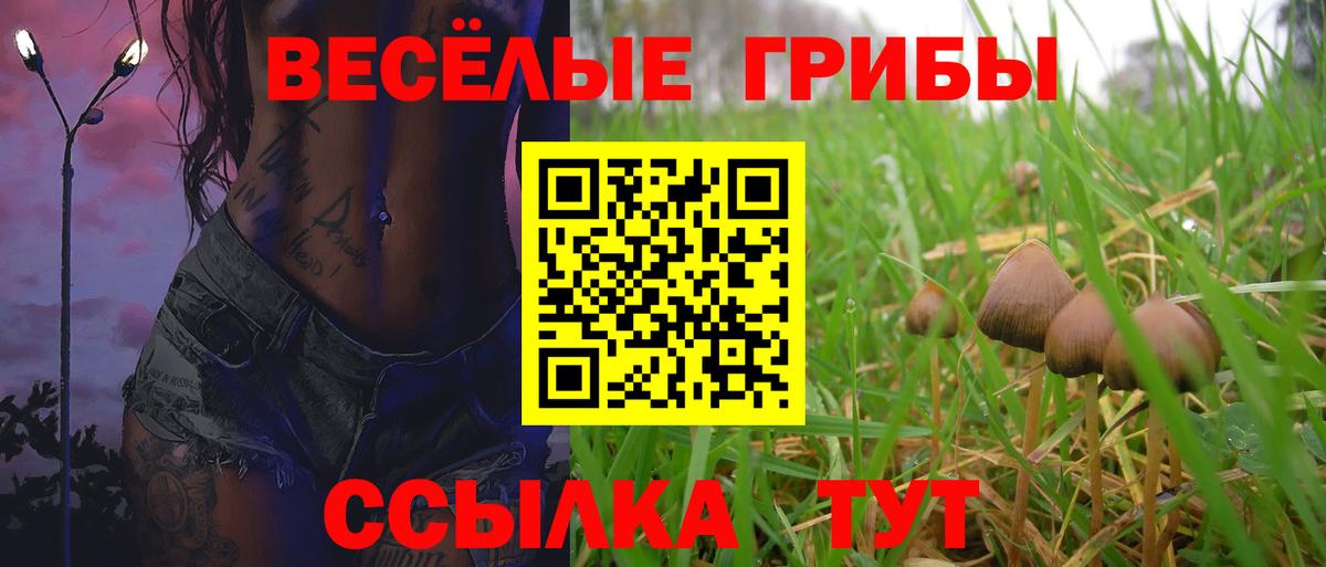 Галлюциногенные грибы прущие грибы Красный Сулин