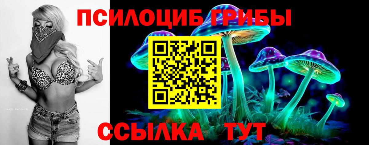 Красный Сулин  Псилоцибиновые грибы Cubensis  Вход с VPN 